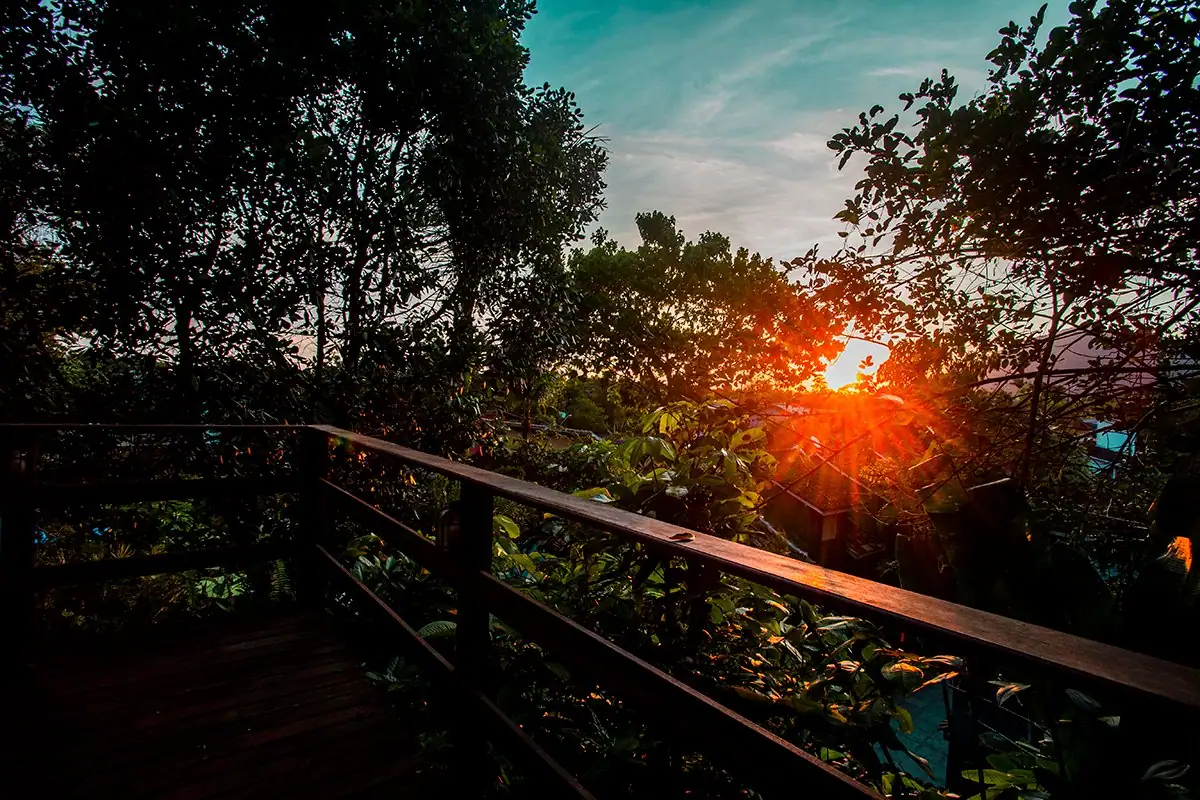 Pôr do sol alaranjado atrás das árvores, visto do mirante